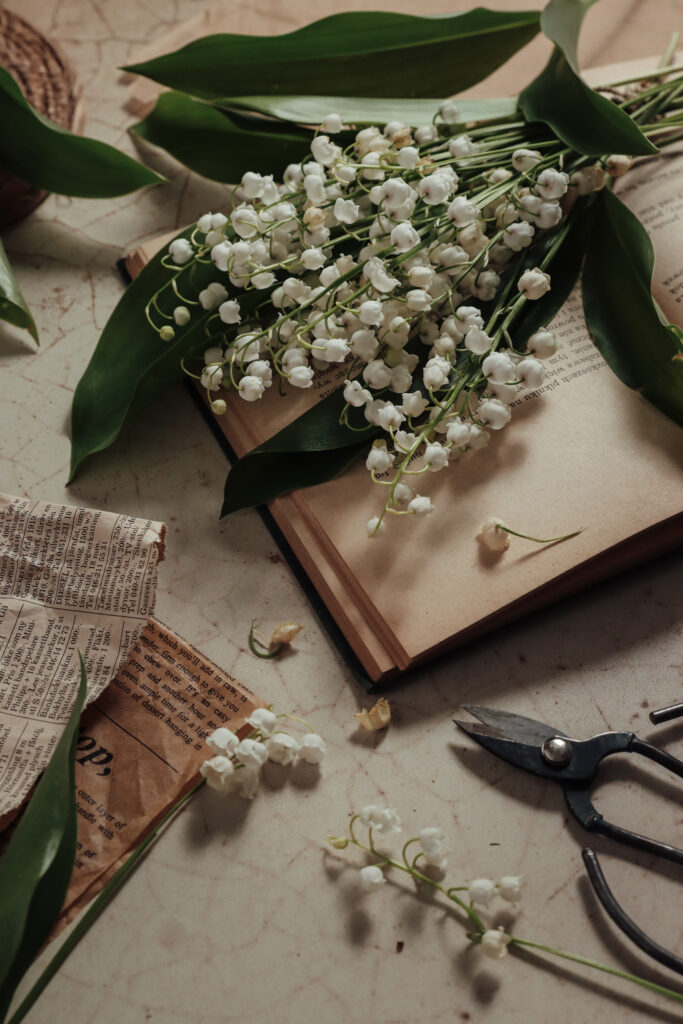 Fotografia kulinarna na neutralnym tle eggshell cBee background