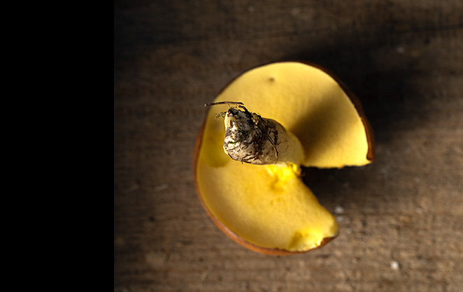 przysłona mała głębia ostrości